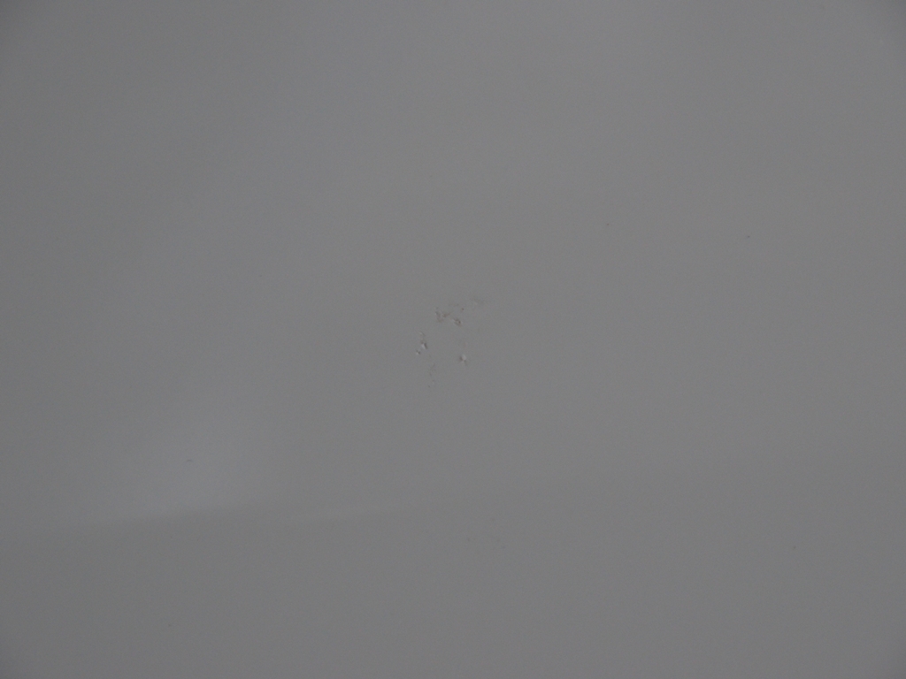 フォルクスワーゲントゥーランのTRUSTデントリペア（へこみ修理）