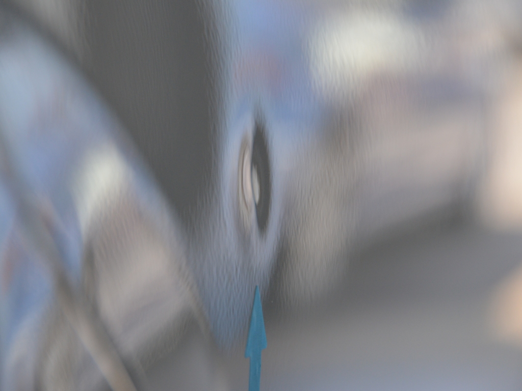 ベンツC200ドア デントリペア前